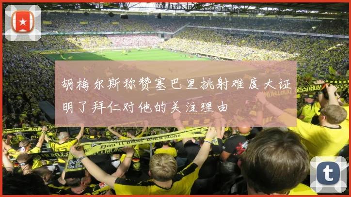 胡梅尔斯称赞塞巴里挑射难度大证明了拜仁对他的关注理由