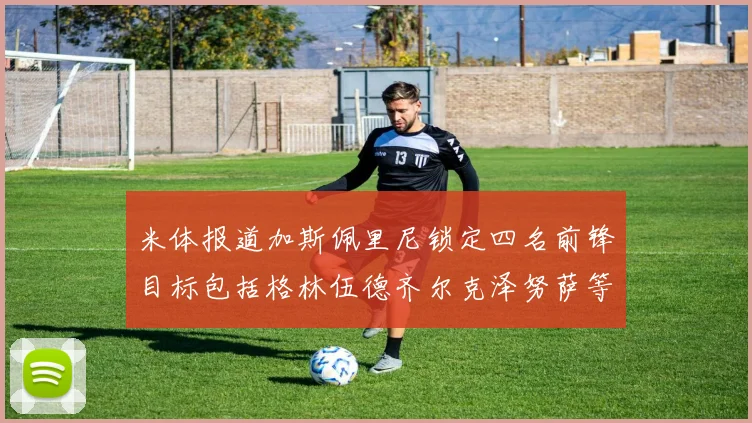 米体报道加斯佩里尼锁定四名前锋目标包括格林伍德齐尔克泽努萨等人